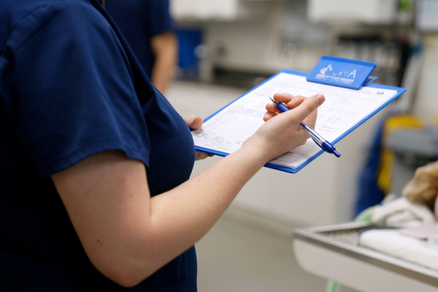 Veterinary staff with clipboard at animal hospital