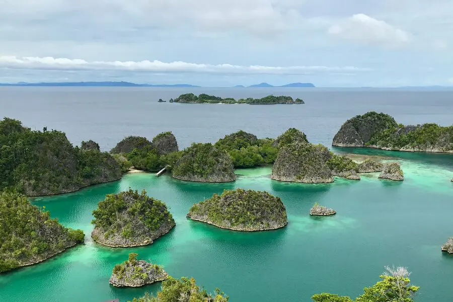 An archipelago as used as a metaphor in bridging the productivity diffusion gap in Veterinary medicine