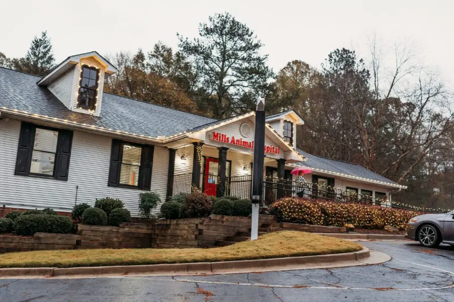 An image of a VMG member practice, Mills Animal Hospital